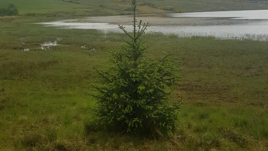 Trusk Lough