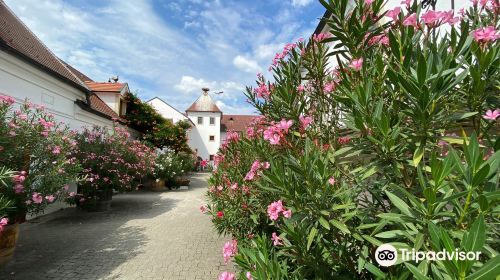 Weingut Feiler-Artinger