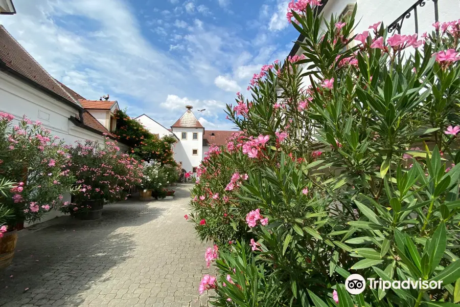 Weingut Feiler-Artinger