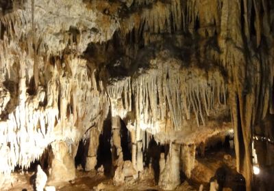 La Grotte De Domme