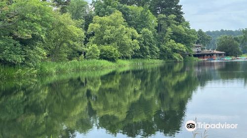 Tyler State Park