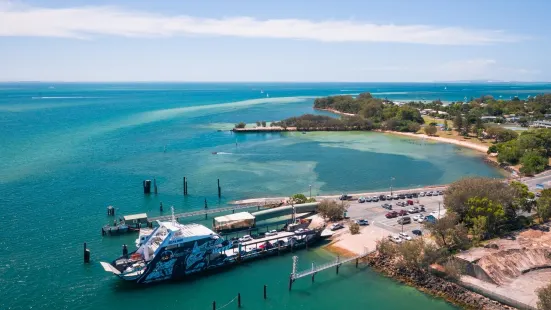 SeaLink South East Queensland