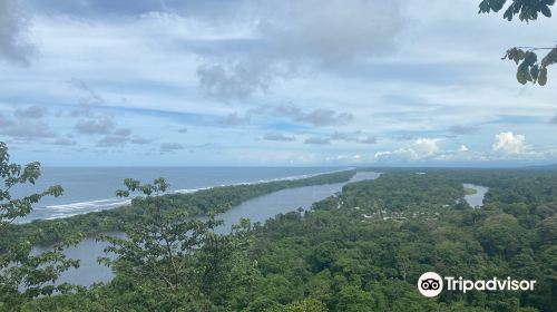 Sendero Cerro Tortuguero