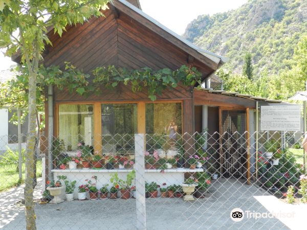 Baba Vanga House Museum