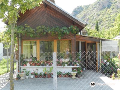Baba Vanga House Museum