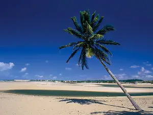 Genipabu Beach & Dunes