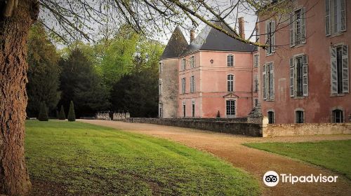 Chateau de Meung sur Loire