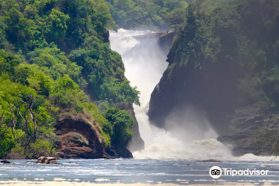 Bushman Safaris Uganda