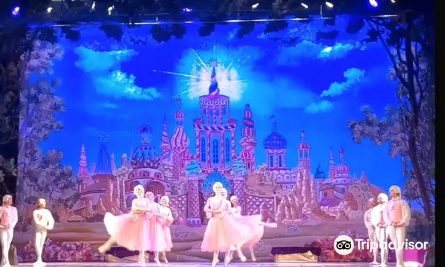 Moscow Ballet Watching