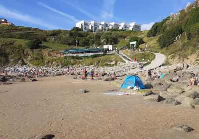 Playa de los Locos