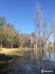 Mineola Nature Preserve