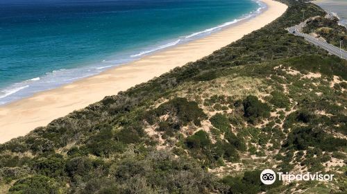 Truganini - The Neck Game Reserve Lookout