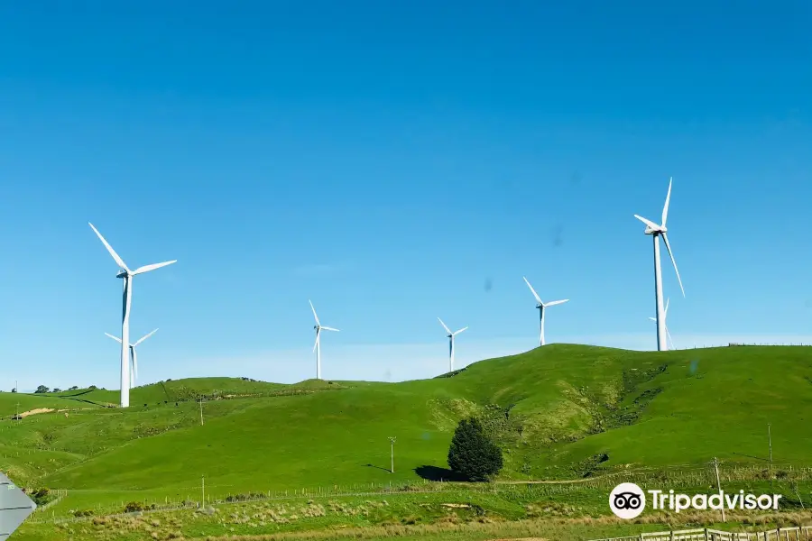 Wellington Wind Turbine