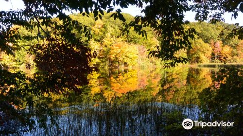 Durand Eastman Park