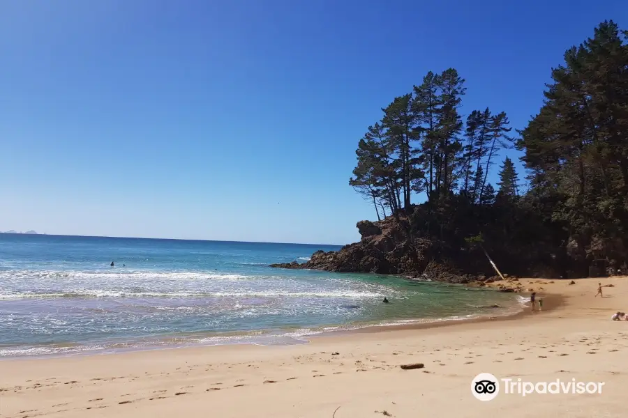 Pokohino Beach