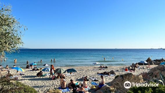 Plage de la Terre Sacree