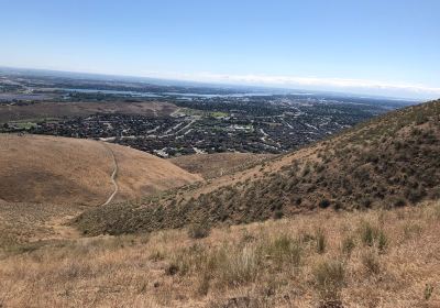 Badger Mountain Centennial Preserve