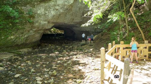 Rock Bridge Memorial State Park