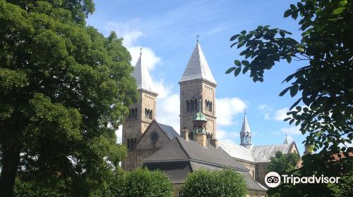 Viborg Cathedral