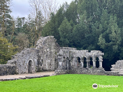 Cong Abbey