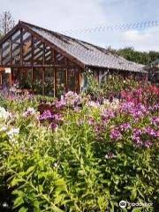 New Forest Lavender Farm