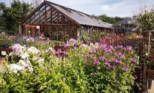 New Forest Lavender Farm