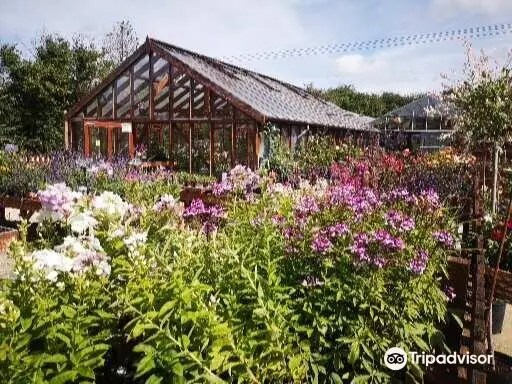 New Forest Lavender Gardens