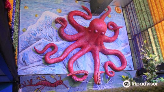 Under The Sun Aquarium, Udaipur