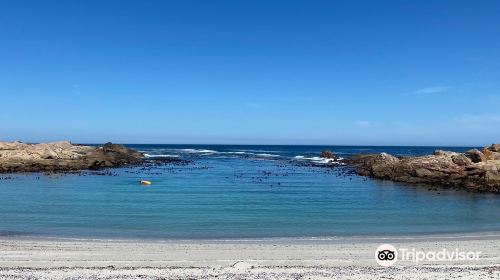 Cape Columbine Nature Reserve Tietiesbaai