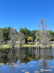 Magnolia Park