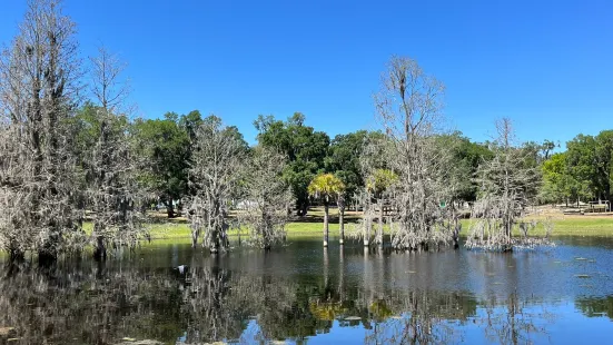 Magnolia Park