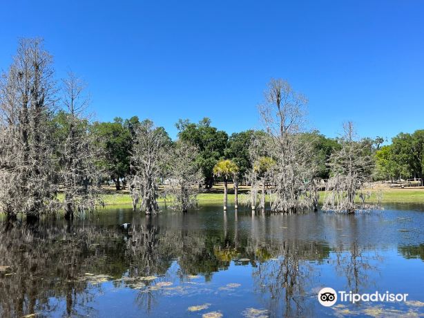 Apopka