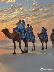 Broome Camel Safaris