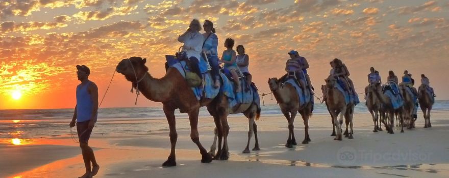 Broome Camel Safaris