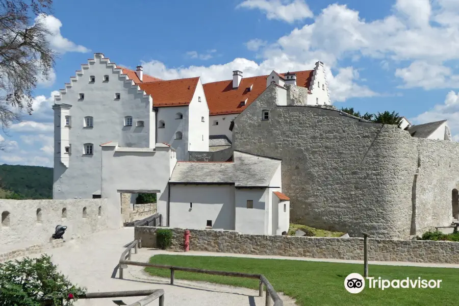 Falkenhof Schloss Rosenburg Artenschutz und Forsch