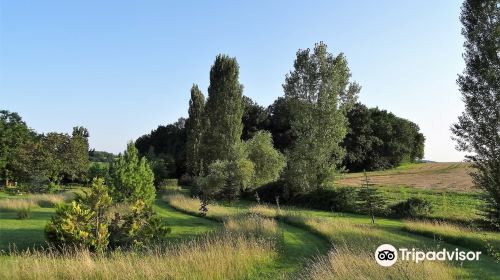 Les Jardins du Coq