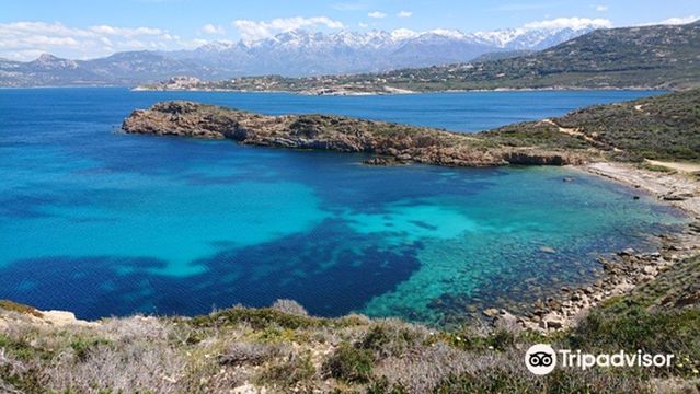 Pointe De La Revellata