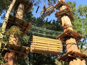 Treetops Adventure Belgrave