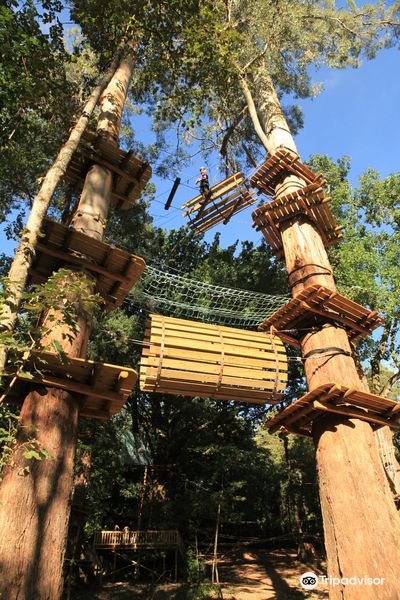 Treetops Adventure Belgrave