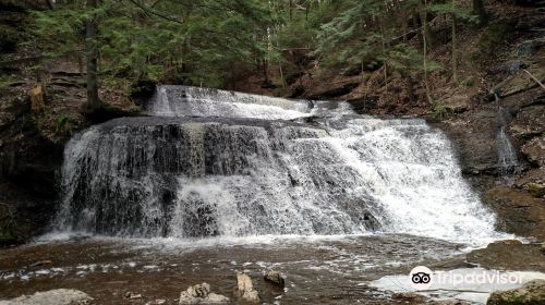 McConnells Mill State Park