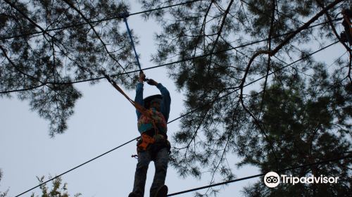 Adventure Park Tarzaniya