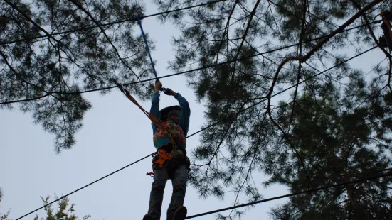 Adventure Park Tarzaniya