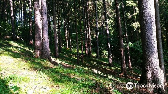 Tarzania - Zipline Hrabovo
