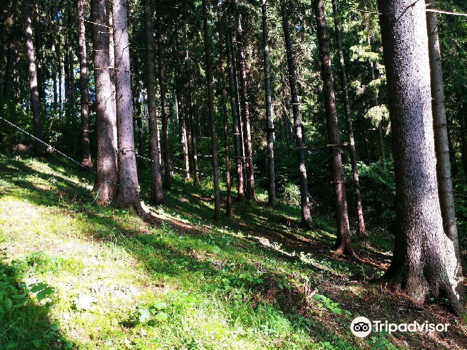 Tarzania - Zipline Hrabovo