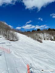 Mt. Dufour Ski Area