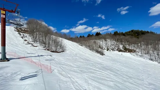 Mt. Dufour Ski Area