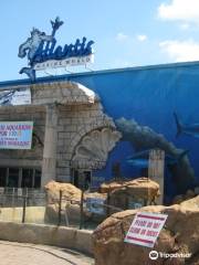 Long Island Aquarium