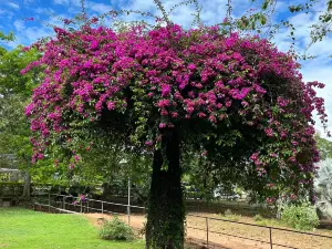 Dry Zone Botanic Gardens, Hambantota