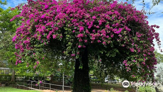 Dry Zone Botanic Gardens, Hambantota