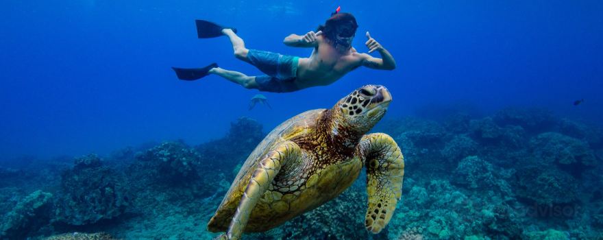 Nani Kai Ocean Adventures